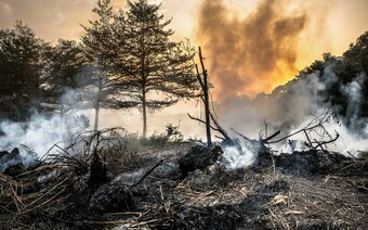 Оценка ущерба после стихийного бедствия в Нижнем Новгороде: отчет оценщика